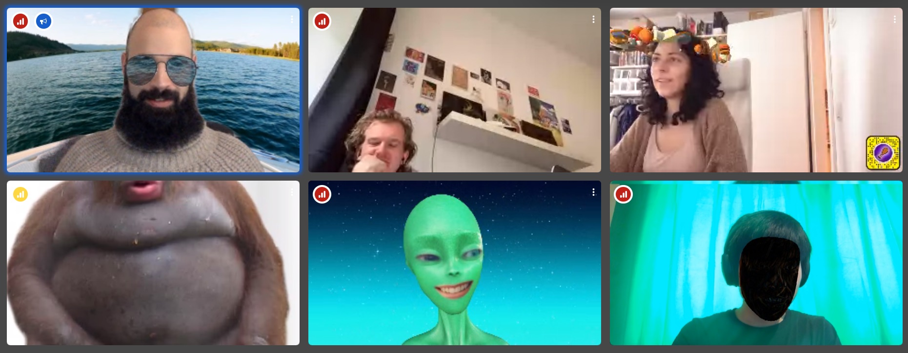 a grid of a video call featuring gorilla, alien, etc